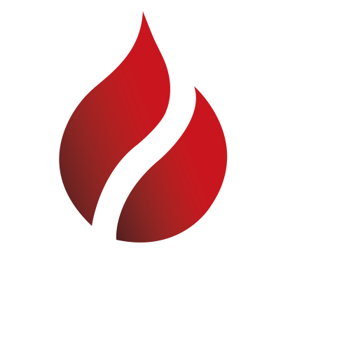 Logo-web-ws