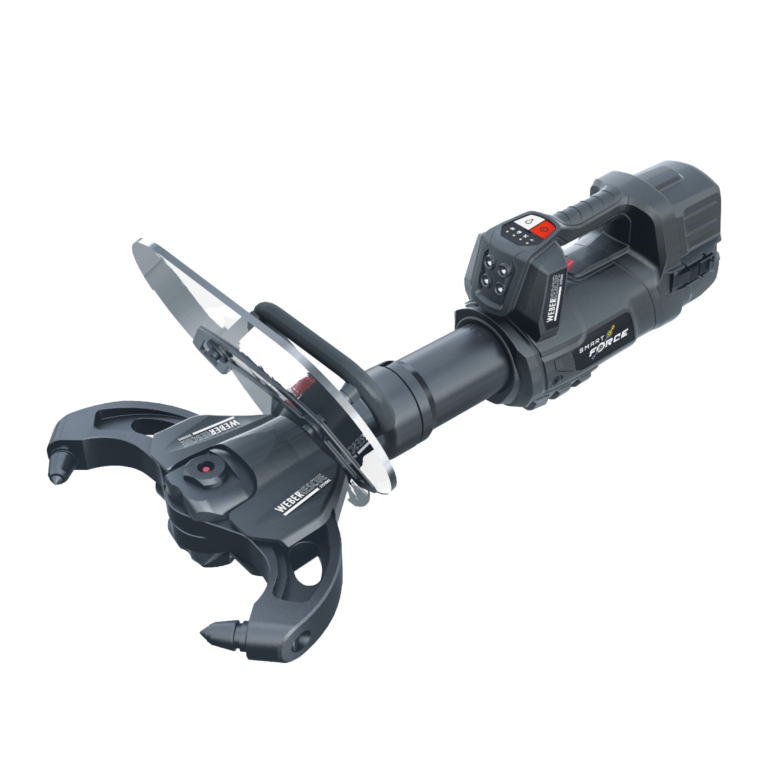 Weber Rescue BC 250